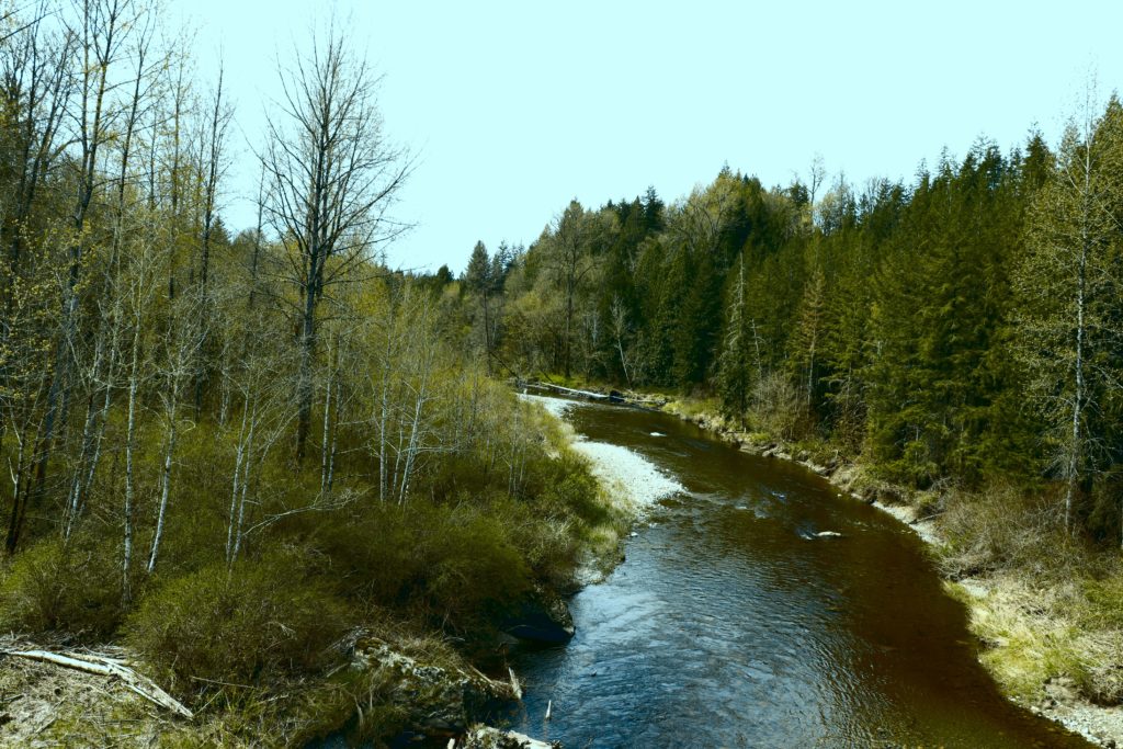 Centennial Trail Pilchuck Creek